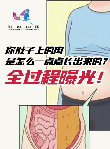 不合理的饮食结构、暴饮暴食等行为会使热量摄入超标。而多余的热量会转化为脂肪，从而造成肥胖。不过，这个过程究竟是怎么发生的呢？今天，就来为你揭开长胖的真相。              了解详情